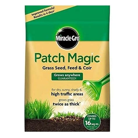 Black magic grass seedd